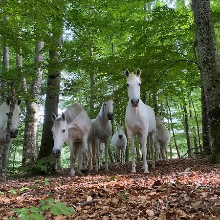 Le Domaine De Linars - L'aile Du Chateau Holiday home Le Truel
