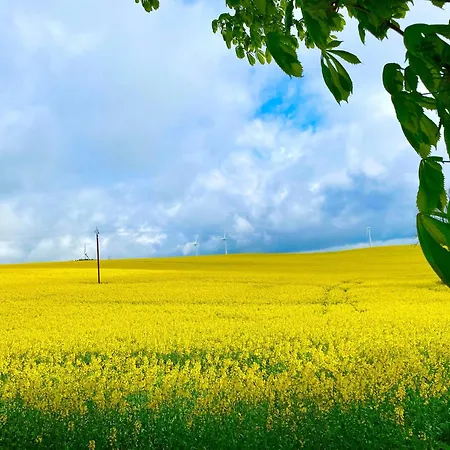 Hébergement de vacances Le Domaine De Linars - L'aile Du Château *